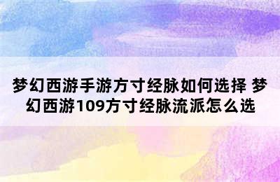 梦幻西游手游方寸经脉如何选择 梦幻西游109方寸经脉流派怎么选